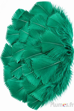 Kalkoen - 6-8 cm - groen 